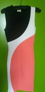 Torn by Ronny Kobo Bodycon Sleeveless Sheath Dress